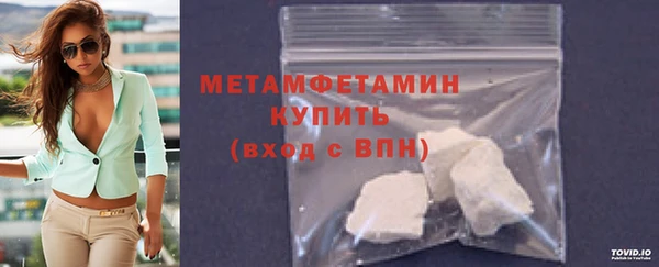 гидра Надым