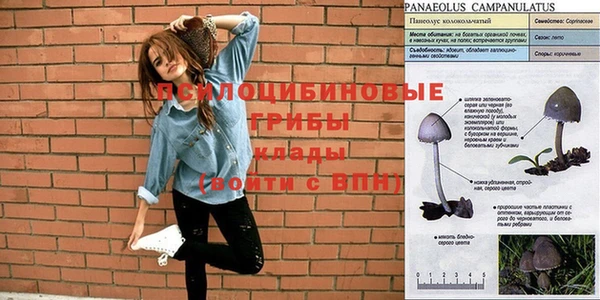 экстази Михайлов