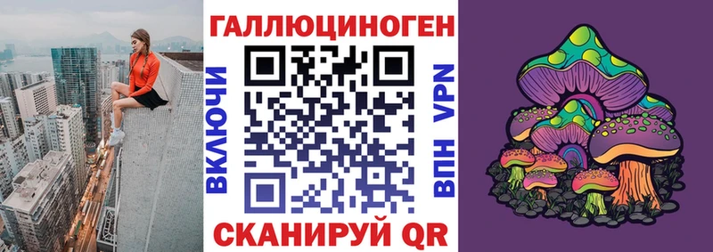 Купить  Сунжа  Псилоцибиновые грибы прущие грибы 
