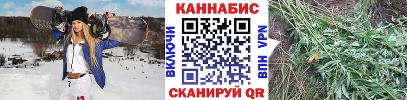 Марихуана Bruce Banner  Купить где  Сунжа 